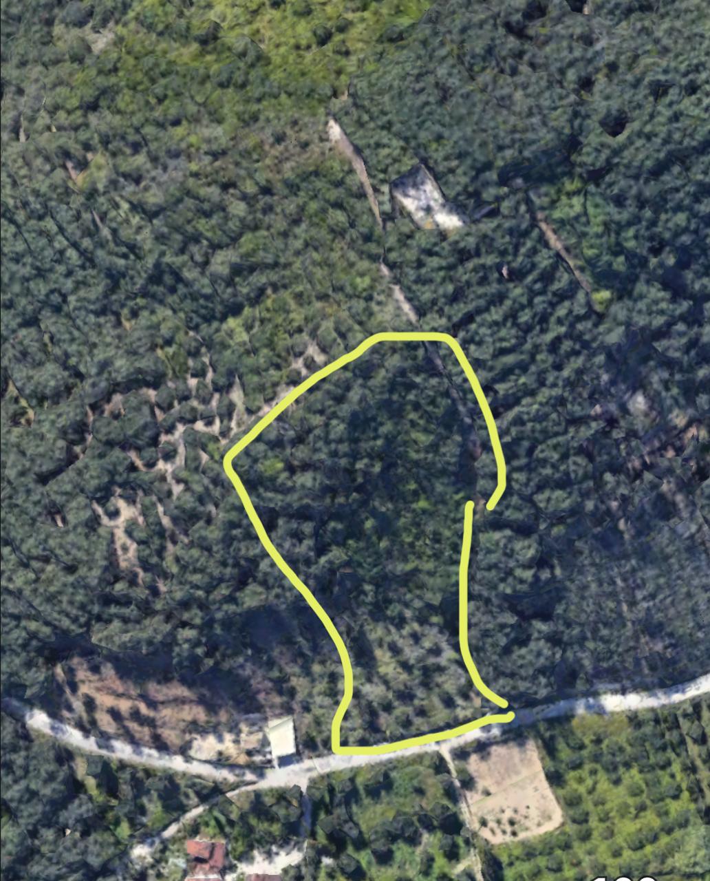 Οικόπεδο 9.000τ.μ.,Άγιος Στέφανος -45.000€